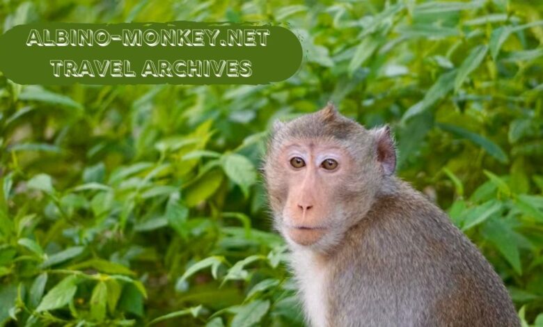 albino-monkey.net travel archives