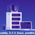 caddy_2.7.3_linux_amd64.tar