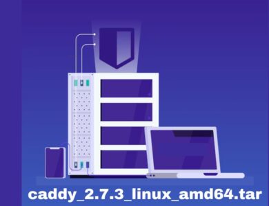 caddy_2.7.3_linux_amd64.tar