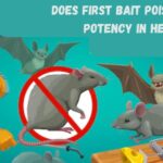 does first bait poison lose potency in heat